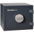 HomeSafe-10EL (2).png